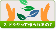 2.どうやって誕生したの?