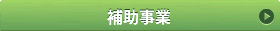 補助事業